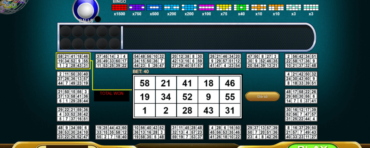 Show bingo